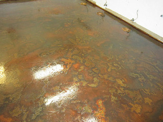 seal coatings - Dist of Columbia